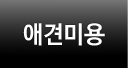 애견미용
