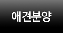 애견분양